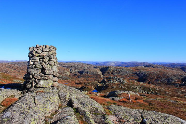 FALKEKOLLEN 876 moh.