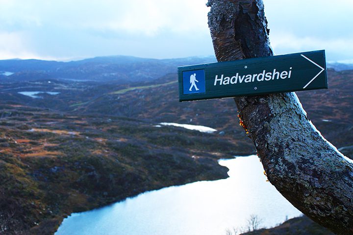 HADVARDSHEI – 957 moh.