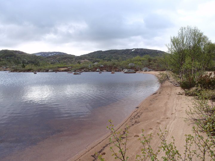 HAUGEN TIL FIDJELAND