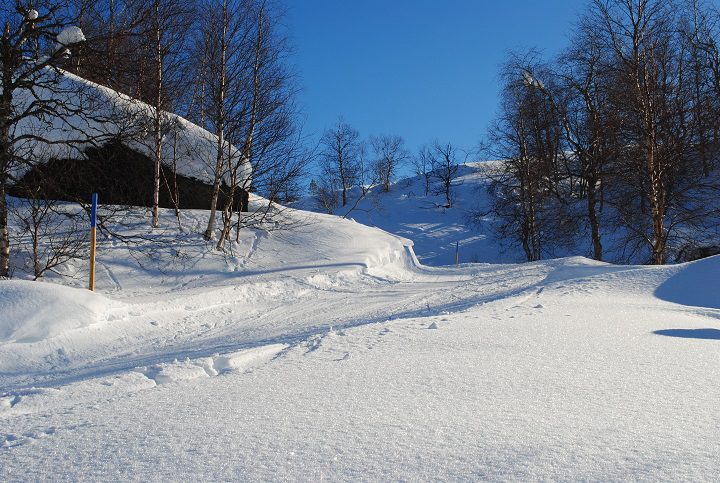 LANGETJØDN – SINNES SKULE