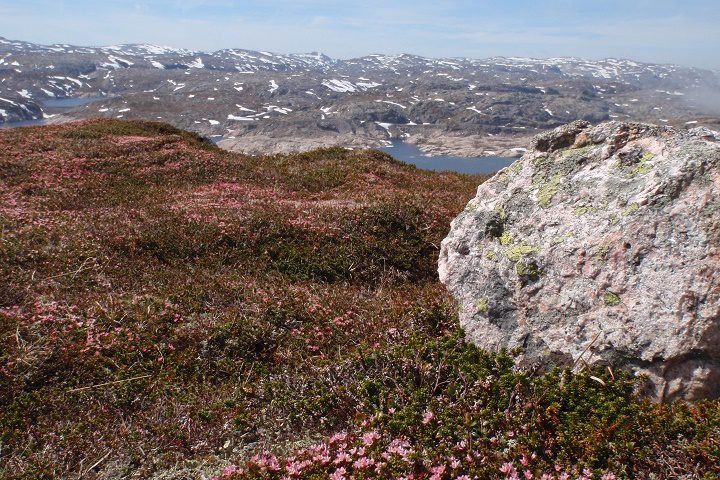 LYSEVEIEN TIL LYSEBOTN