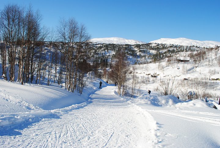 NESEDALEN